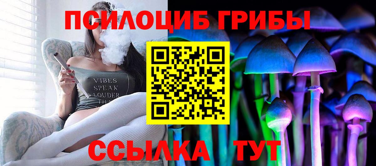 Псилоцибиновые грибы мицелий  Вход с VPN  Красноармейск 